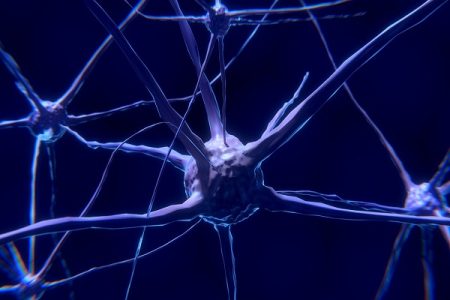 Pinched Nerve, Trapped Nerve, Compressed Nerve