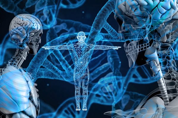 Genetic Testing For Achondroplasia