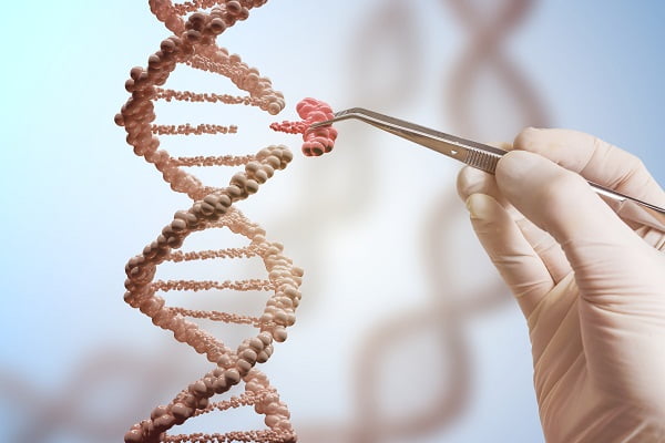 Alcoholism and Genetics: Is Alcoholism Hereditary?