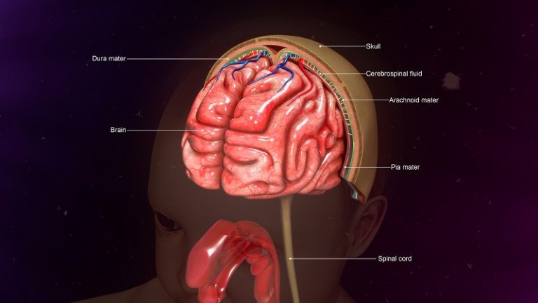 Meningitis in Children: Symptoms, Causes, Prevention and Treatment