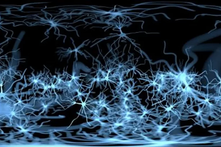 Peripheral Neuropathy Diagnosis