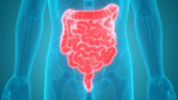 How Do Doctors Diagnose Irritable Bowel Syndrome?