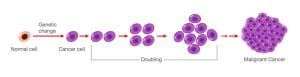 Image for process of cancer cell development