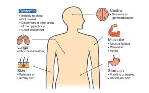 Warning signs of heart attack in different regions of the body