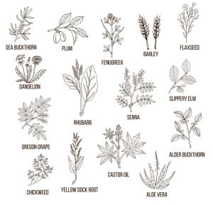 Herbal remedies for treating constipation