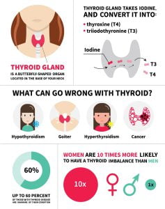 Thyroid gland infographic