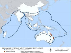 Nipah virus distribution and countries at risk