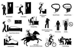 Basics about prostatitis