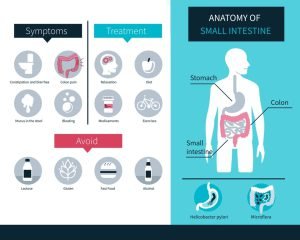 IBS symptoms and management