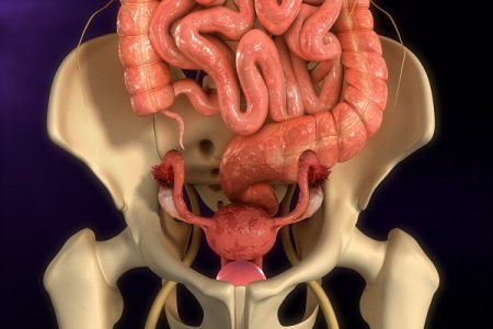 Endometrial Cancer: Causes, Symptoms, Diagnosis, Treatment, Risks, Prevention