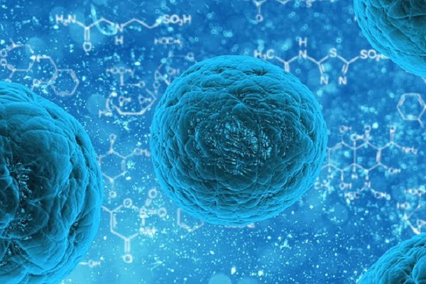 Basics of T Cell Lymphoma