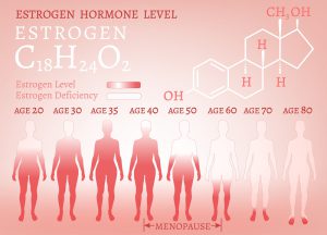 Estrogen hormone levels