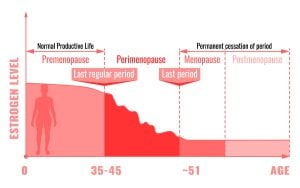 Stages of menopause