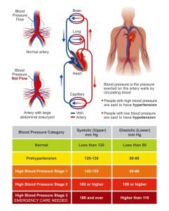 Human blood pressure readings