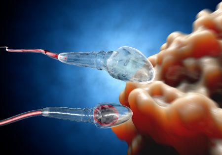 Sperm boosting fertility