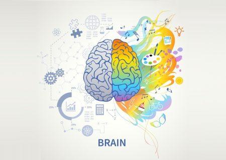 Addiction and Its Impact on Brain Development Brain