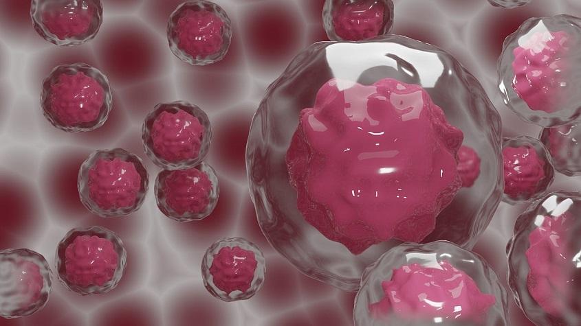 stem cell cancer