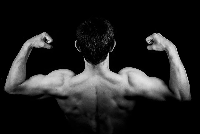 Man Muscular Back