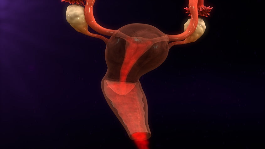 Menstruation Bleeding