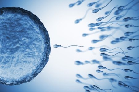 Ovulation Induction