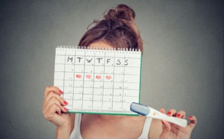 Ovulation and Fertility