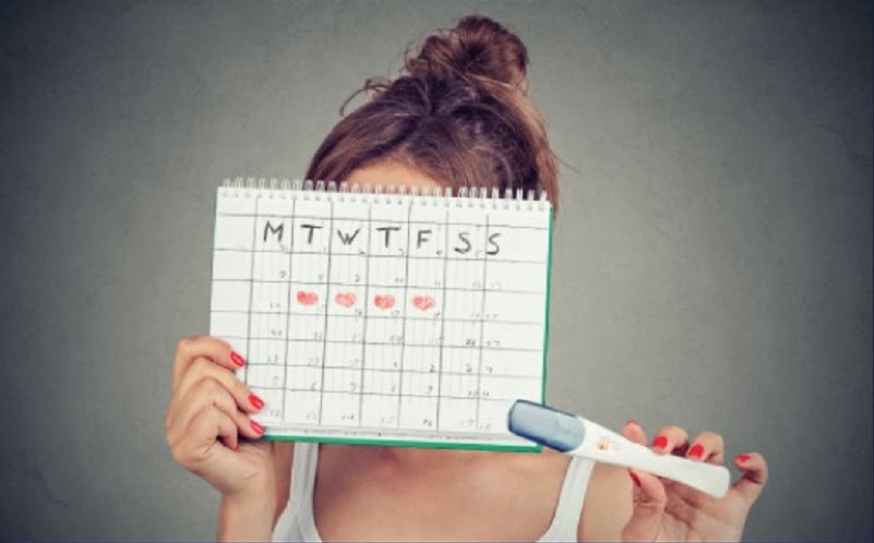Ovulation and Fertility