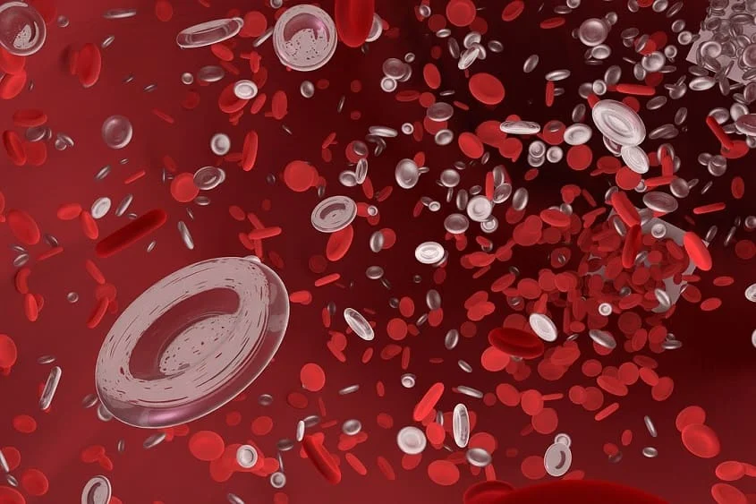 Leukocytosis ICD10 Code An InDepth Exploration of Diagnosis and