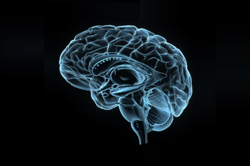 acute metabolic encephalopathy icd 10