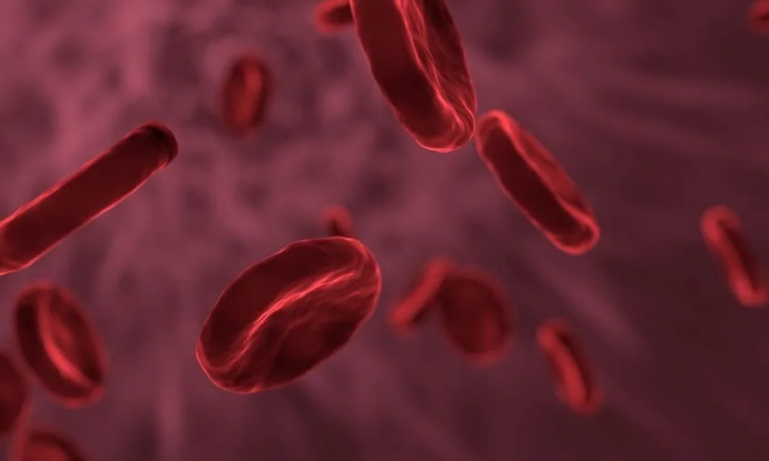 hypercalcemia icd 10