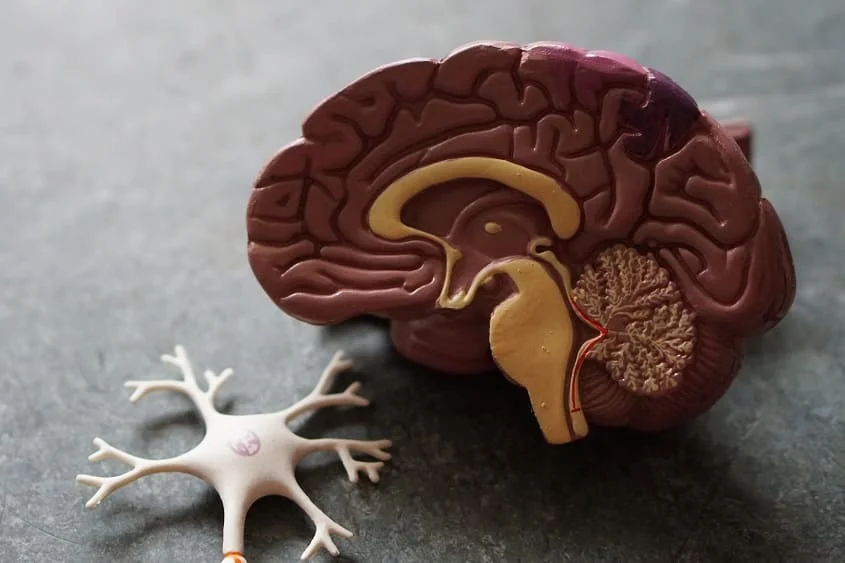 icd 10 altered mental status
