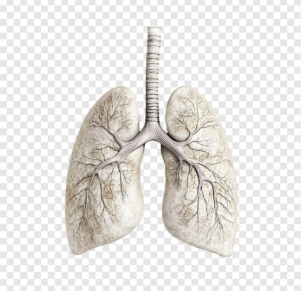 copd-quality-of-life