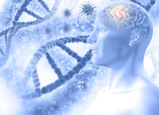 Gut-Brain Connection: Why Your Gut Controls Your Mood