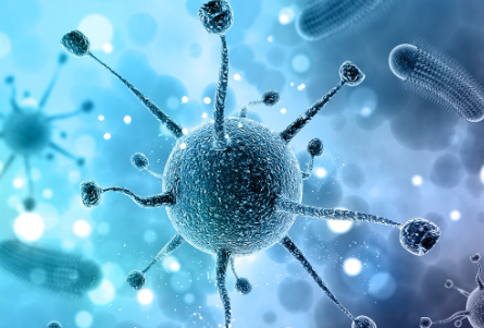 What Causes Viral & Bacterial Infections, and How Do They Spread? Illustration showing viral or bacterial infections
