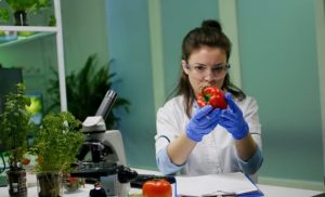 What are Phytonutrients? Here’s What the Science Says Colorful fruits and vegetables rich in phytonutrients