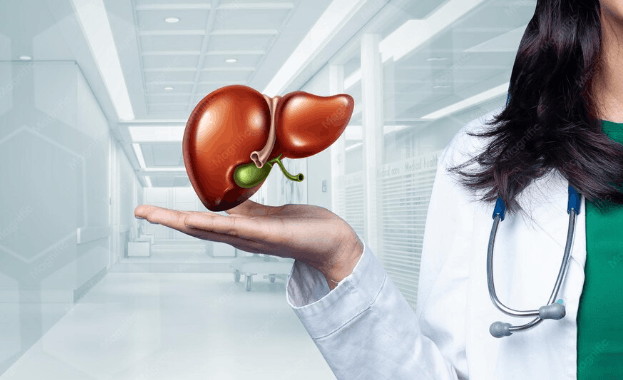 Illustration showing liver functions that support liver health